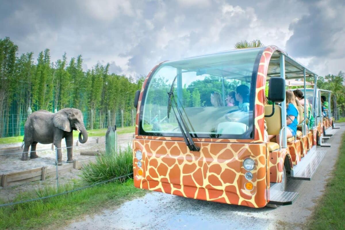 Budget Friendly Sleeps 8 Discounts Available Тампа Экстерьер фото